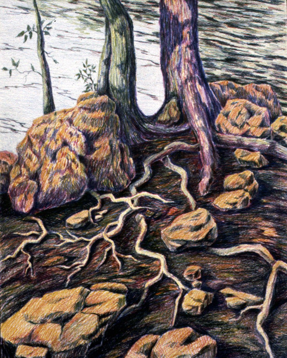 Roots