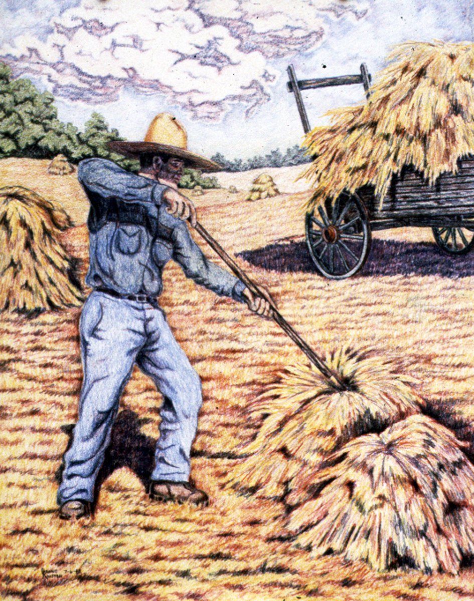 Pitching Hay