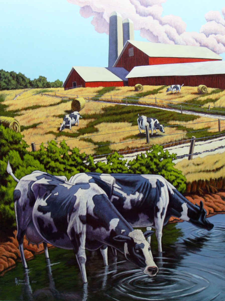 Holsteins