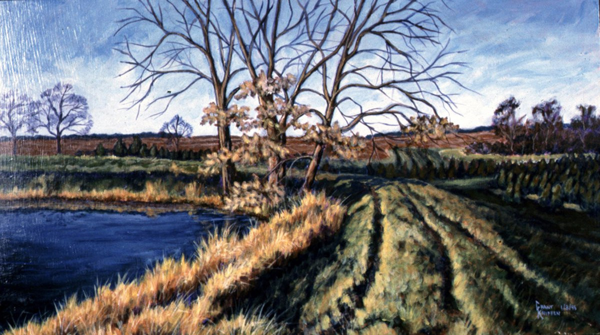 Early Light - The Overfelt Christmas Tree Farm